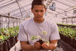 Discover Massey University