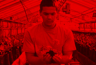 Discover Massey University