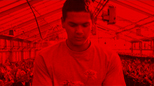 Discover MU